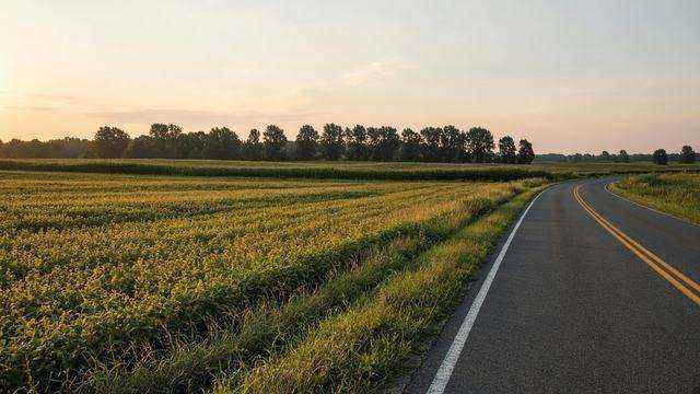Farm fields and tree line along a rural Talbot County road in Cordova