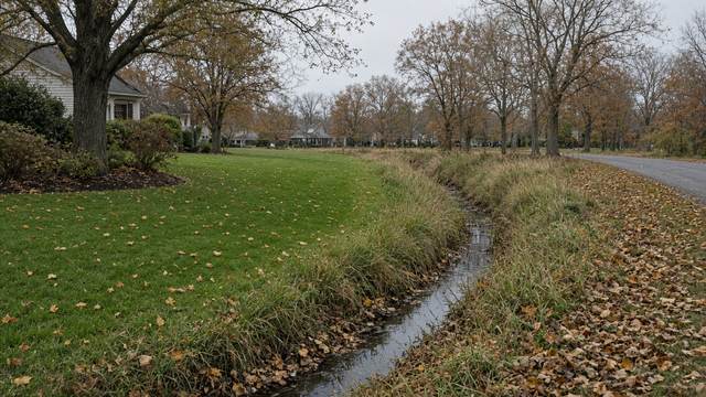A residential lawn meeting a roadside ditch on Maryland's Eastern Shore