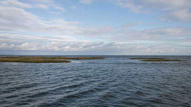 Eastern Shore oyster waters under a low gray sky