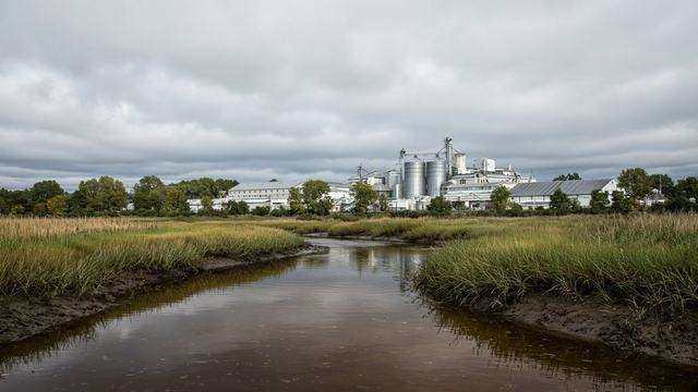 Peggy Branch near the Perdue AgriBusiness plant on Zion Church Road in Salisbury