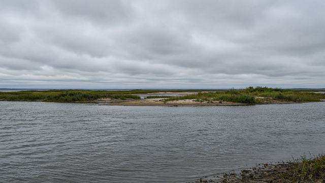 Chesapeake Bay shoreline near Tilghman Island looking toward restored island habitat