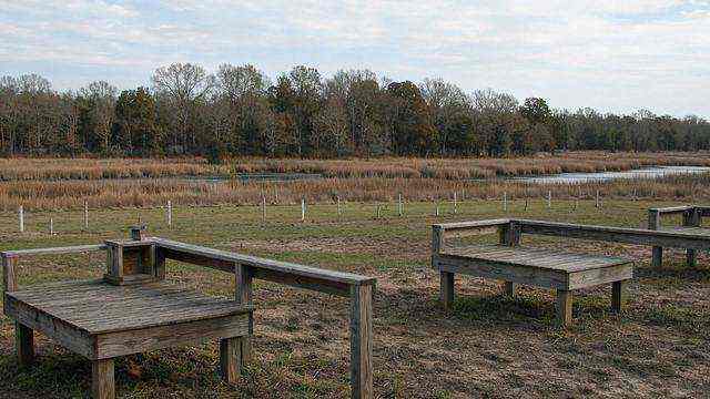 Outdoor clay target stations at a Shore shooting range