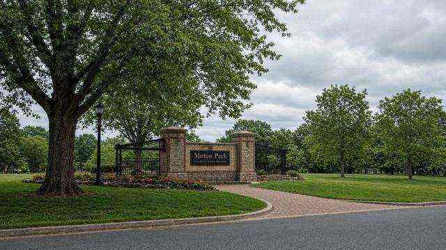 Idlewild Park lawn and paths in Easton