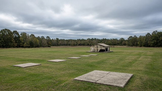 Photorealistic empty clay-target range under overcast Mid-Shore sky with distant tree line